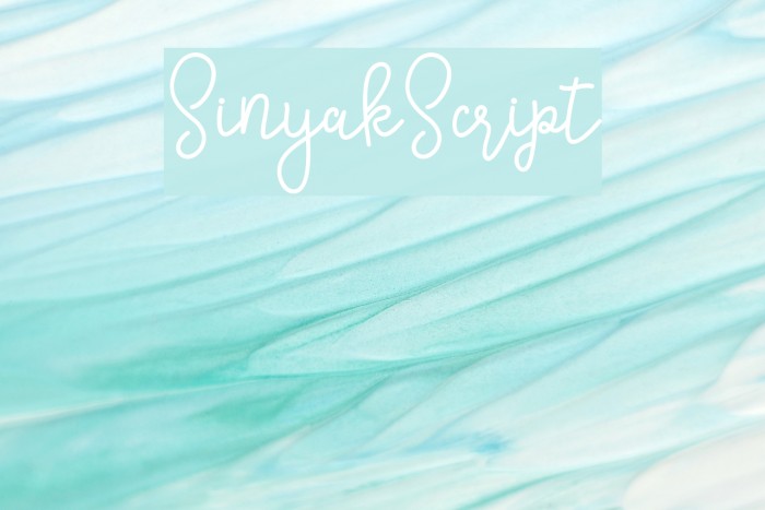 SinyakScript Example 1