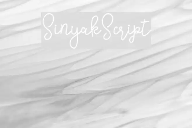 SinyakScript Font examples