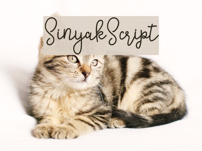 SinyakScript Example 3