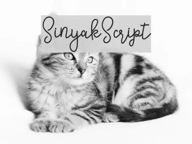 SinyakScript Font examples