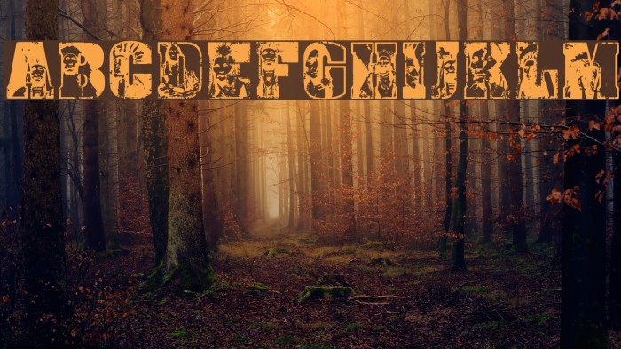 Sioux Regular Font examples