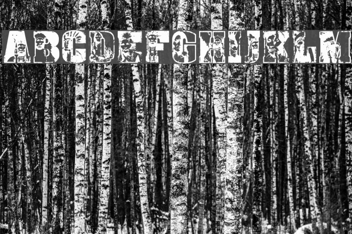 Sioux Regular Font examples