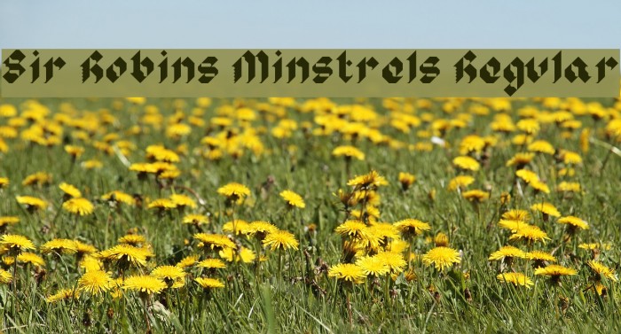 Sir Robin's Minstrels Regular Font examples