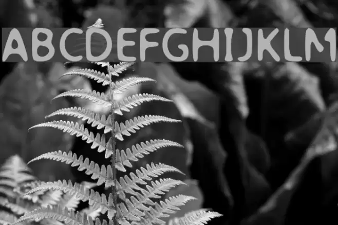 Sir Smoothy Font examples