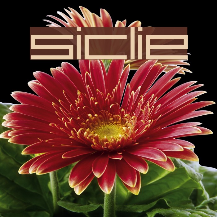 SirClive Font examples