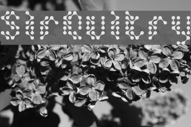 SirQuitry Шрифта examples