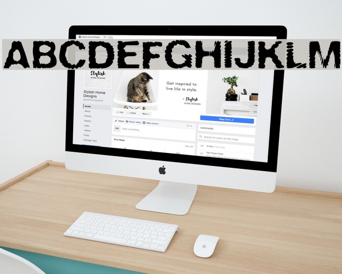 Sira Font examples