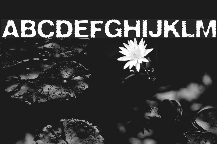 Sira Font examples