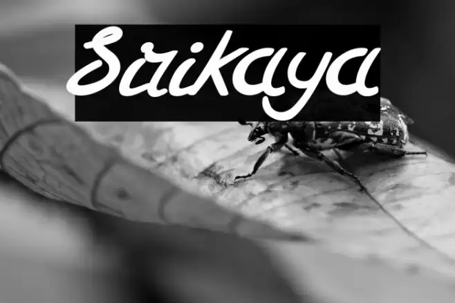 Sirikaya Font examples