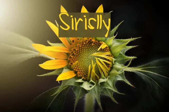 Sirislly Example 3