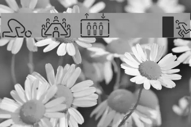 SirucaPictograms Font examples