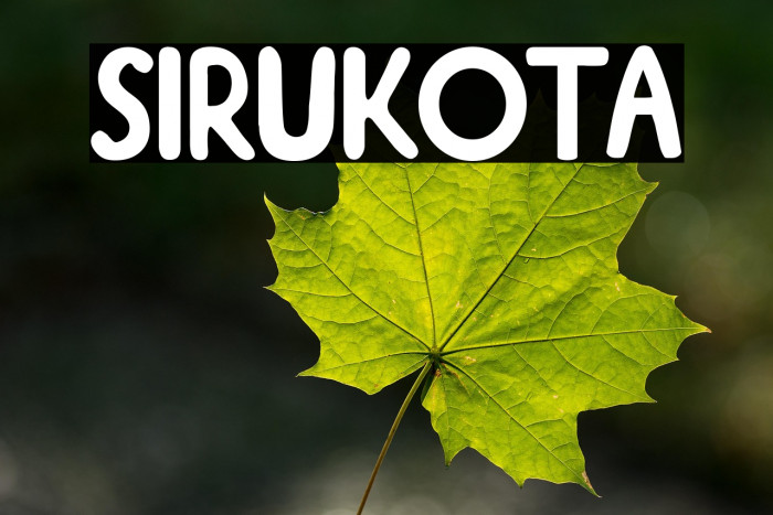 Sirukota Example 1