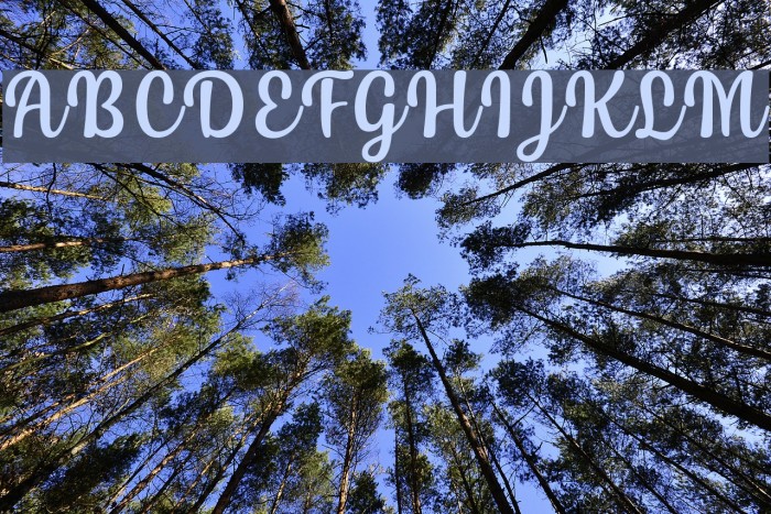 Siry Font examples