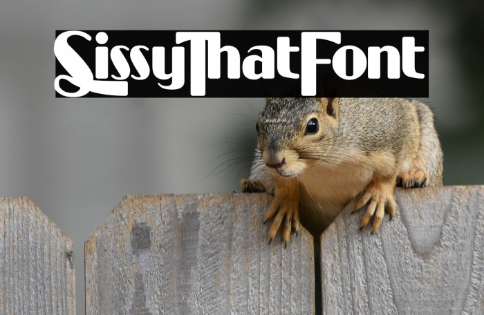 Sissy That Font Example 2