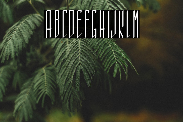 Sistematica Example 1