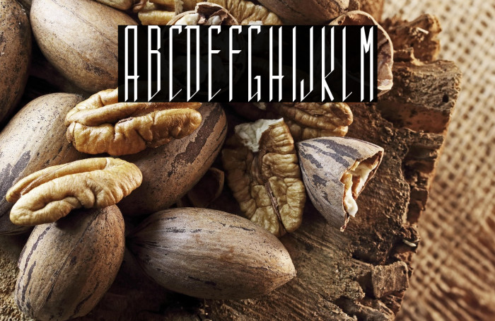 Sistematica Example 2