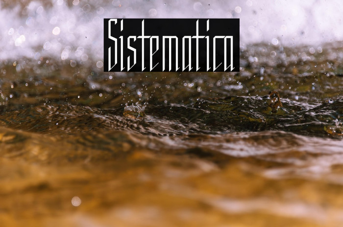 Sistematica Example 1