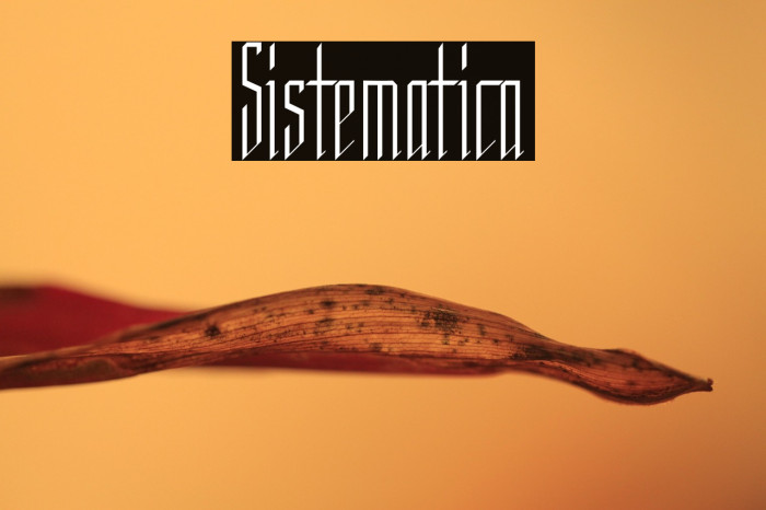 Sistematica Example 2