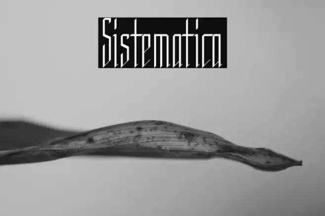 Sistematica Font examples