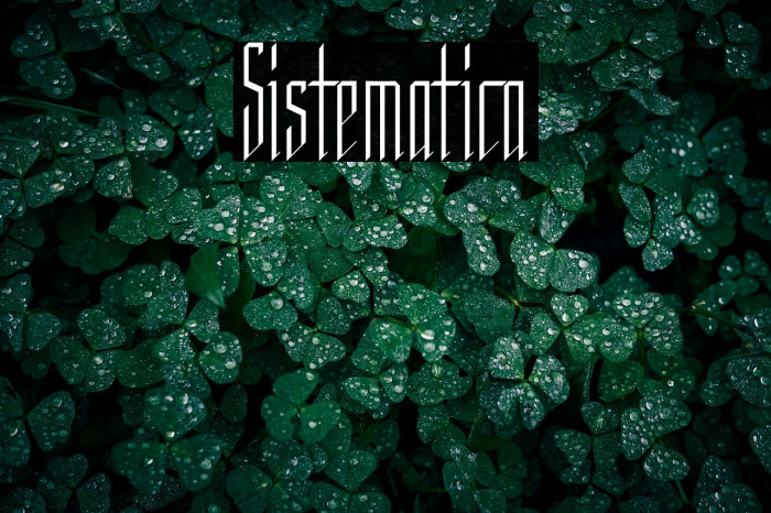 Sistematica Example 3