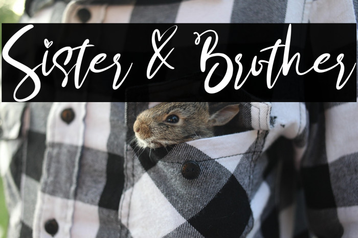 Sister & Brother Example 3