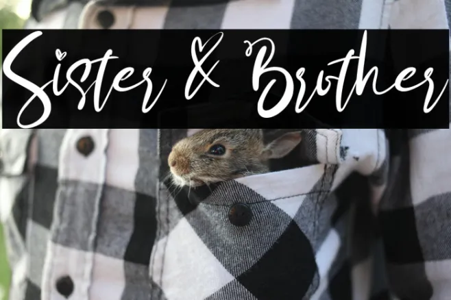 Sister & Brother Example 3