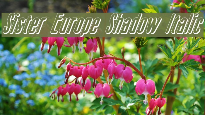 Sister Europe Shadow Italic Font examples