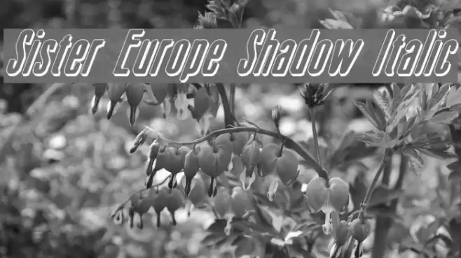 Sister Europe Shadow Italic  examples