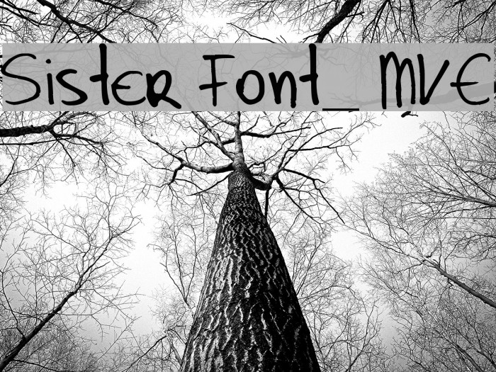 Sister Font_ MVE Example 3