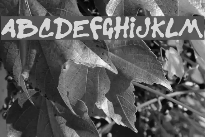 Sister Spray Font examples