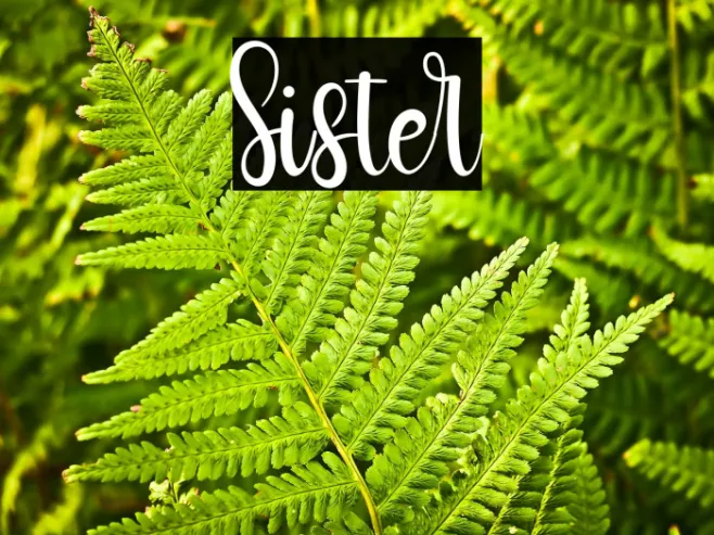 Sister Example 3