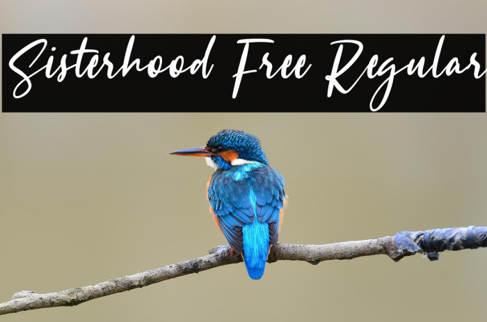 Sisterhood Free Regular Example 1