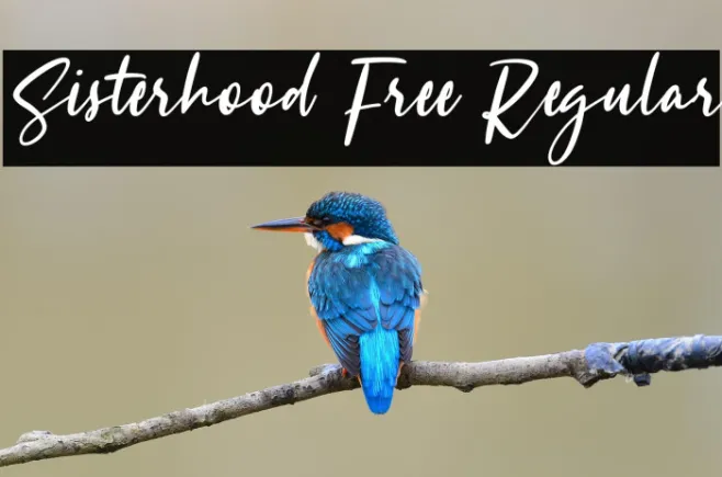 Sisterhood Free Regular Example 1