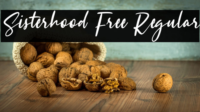Sisterhood Free Regular Example 3