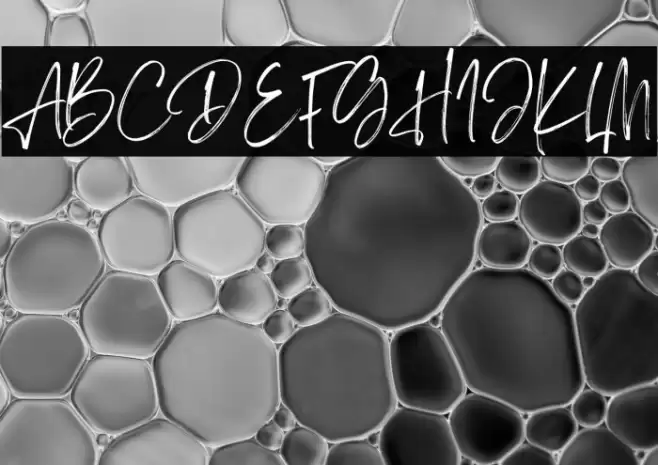 Sisterhood Personal Use フォント examples