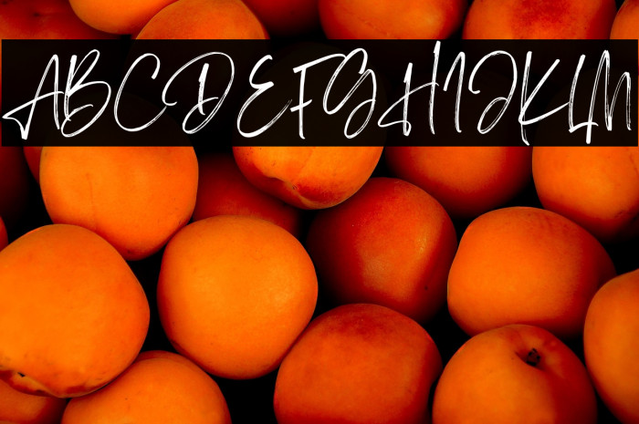 Sisterhood Personal Use Example 3