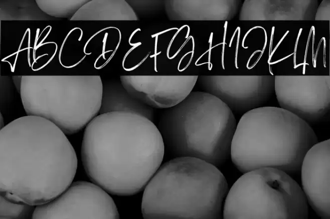 Sisterhood Personal Use フォント examples