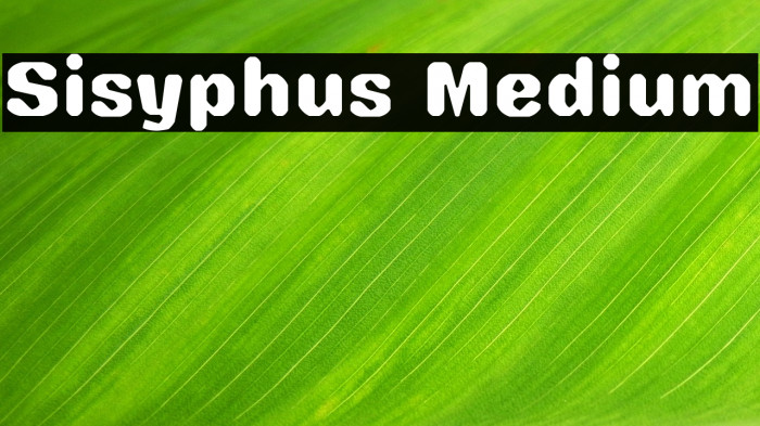 Sisyphus Medium Example 1