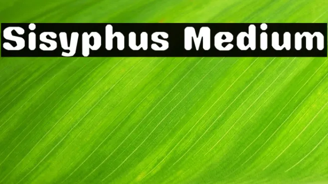 Sisyphus Medium Example 1