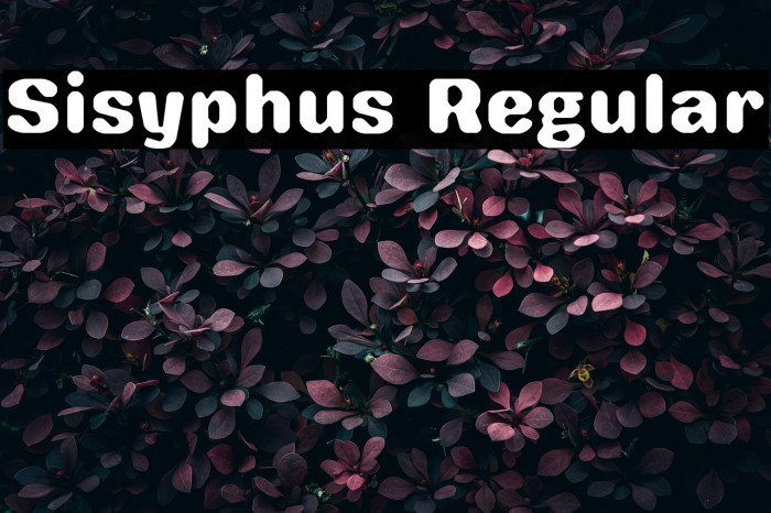 Sisyphus Regular Example 2