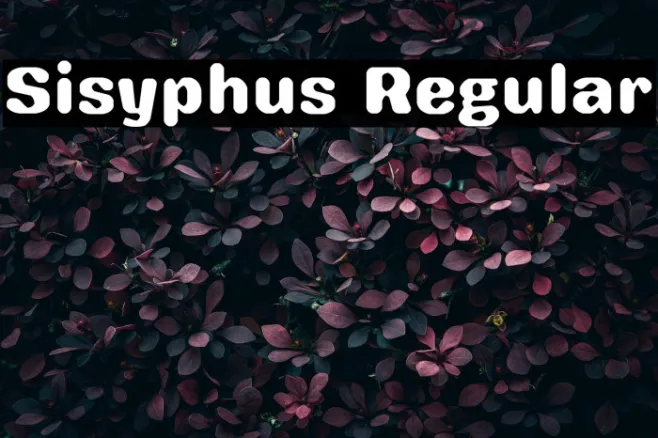 Sisyphus Regular Example 2