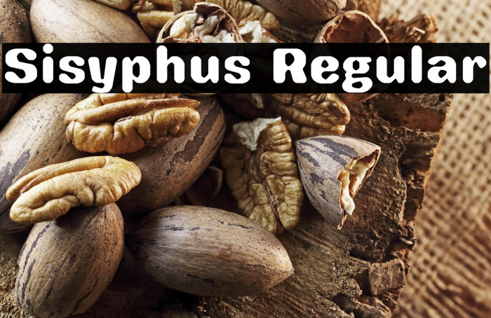 Sisyphus Regular Example 3