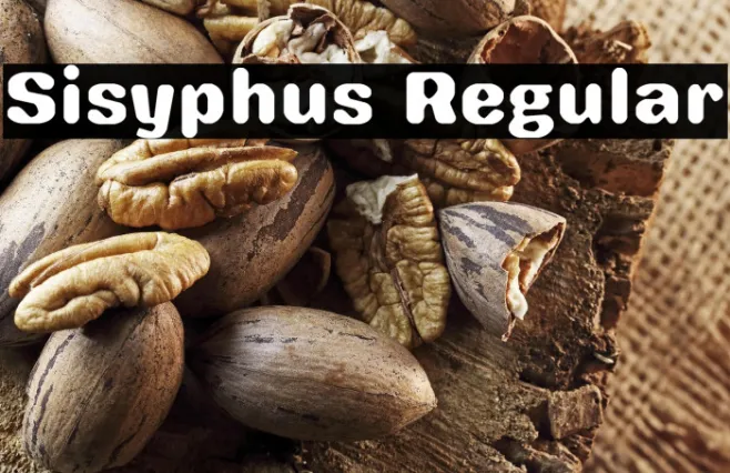 Sisyphus Regular Example 3