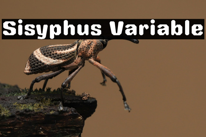 Sisyphus Variable Example 1