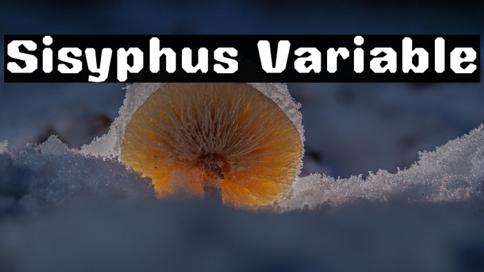 Sisyphus Variable Example 2
