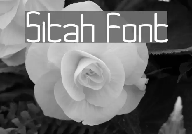 Sitah Font examples