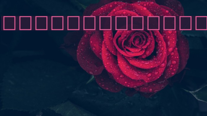 Sitara Bold Italic Font examples