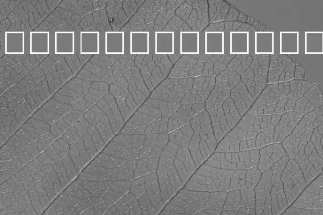 Sitara Bold Font examples