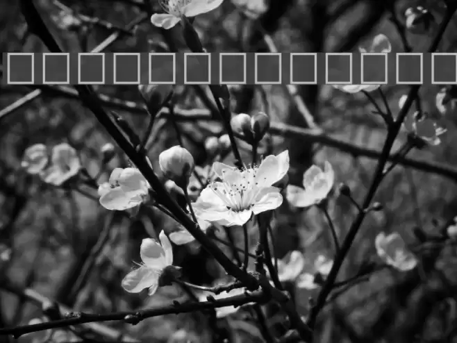 Sitara Italic Font examples