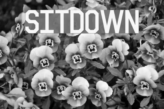 Sitdown Font examples